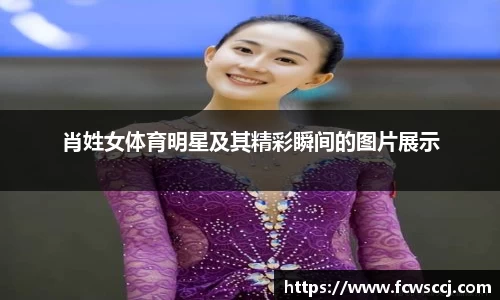 彩神VI首页官网