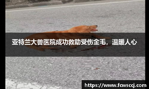 彩神VI首页官网