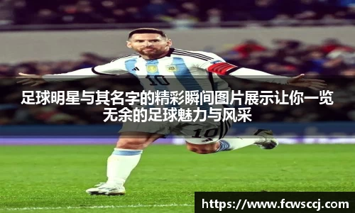 彩神VI首页官网