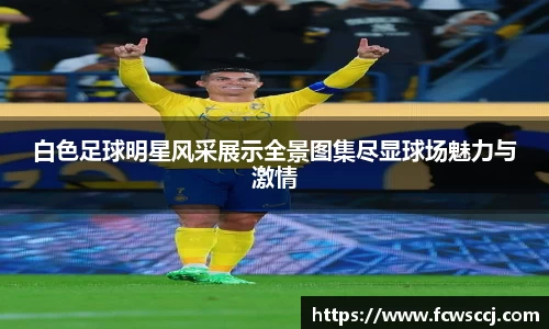 白色足球明星风采展示全景图集尽显球场魅力与激情
